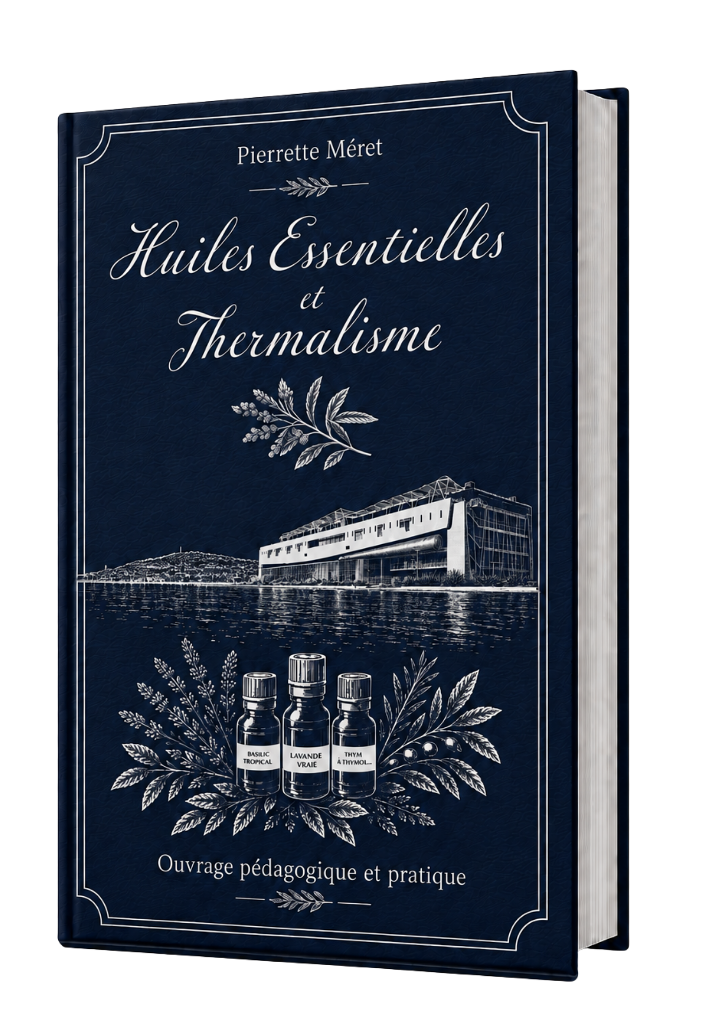 Mockup du livre Aromathérapie Clinique